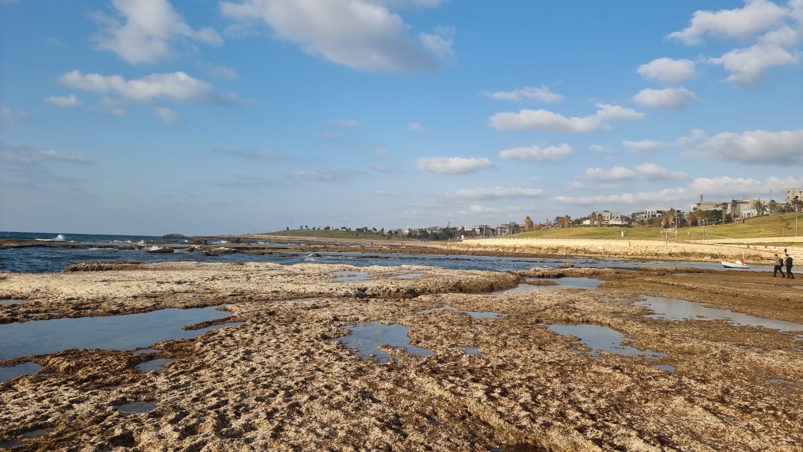 WhatsApp Image 2023-02-20 at 5.53.38 PM (13).jpeg